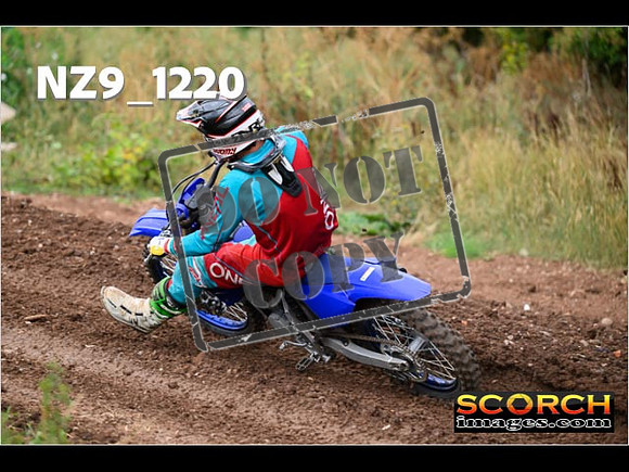 Experts-099