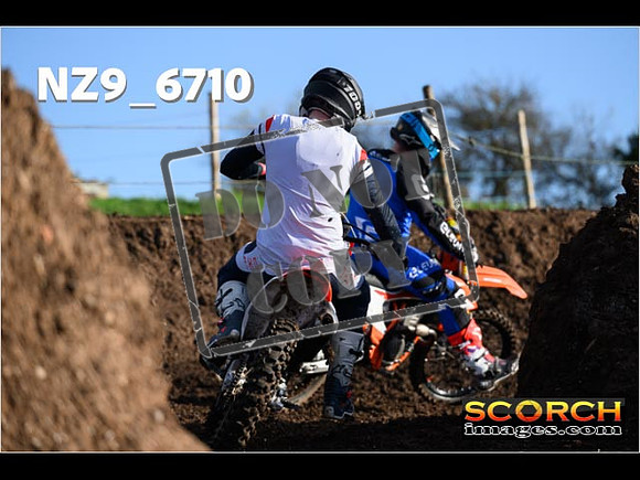 Experts-124