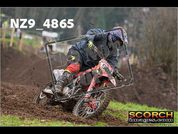 Experts-340