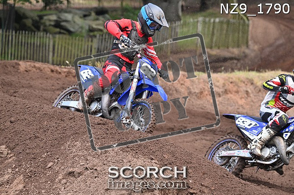 NZ9_1790