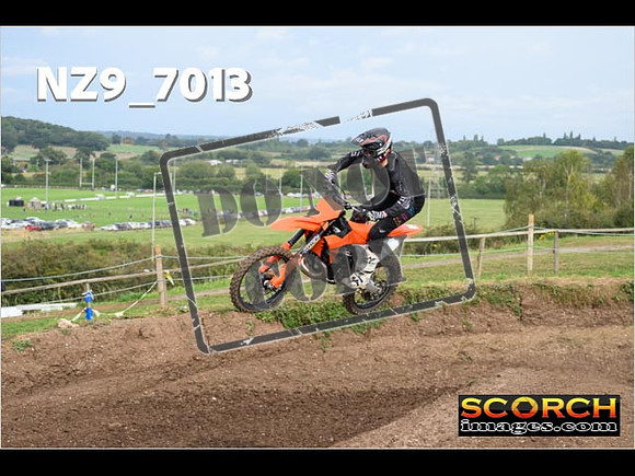 Experts-086