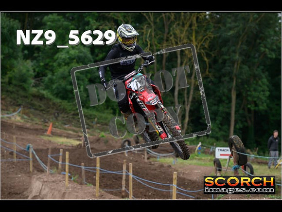Experts-034