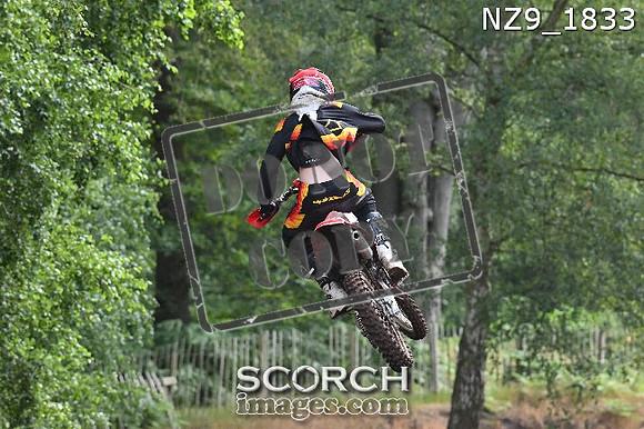 NZ9_1833