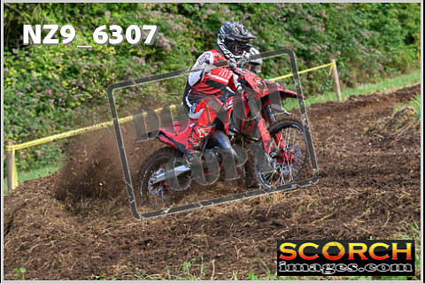 Experts-121