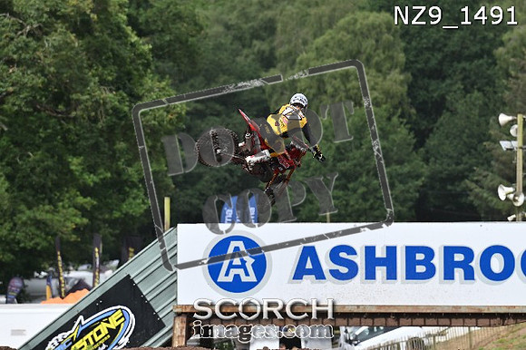 NZ9_1491