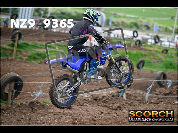 Experts-083
