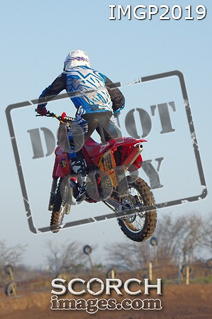 IMGP2019