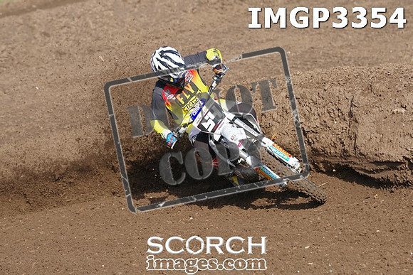 IMGP3354