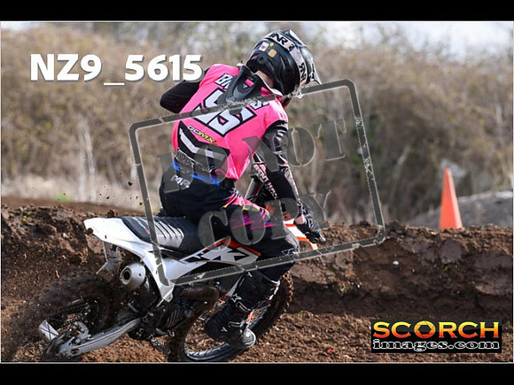 Experts-123