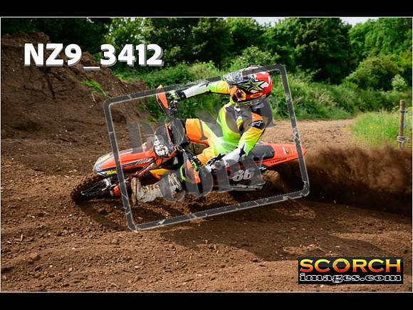 Experts-045