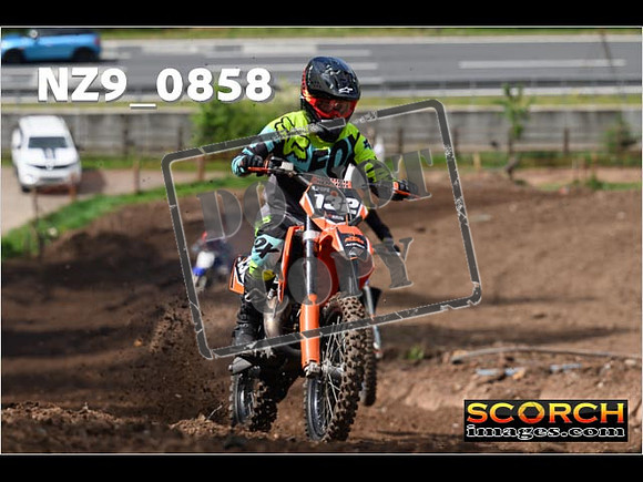 IntersGreen-388