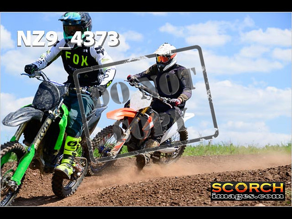 InterGreen-272