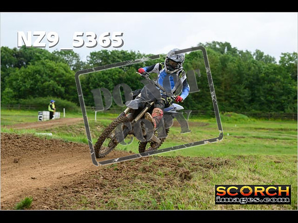 Experts-300
