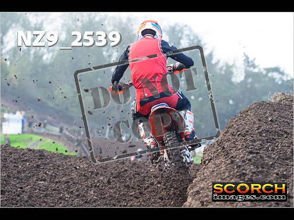 Experts-125