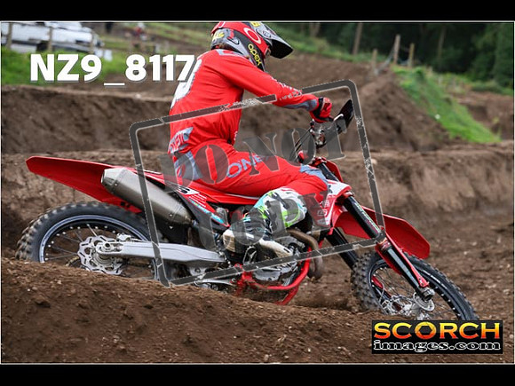Experts-058