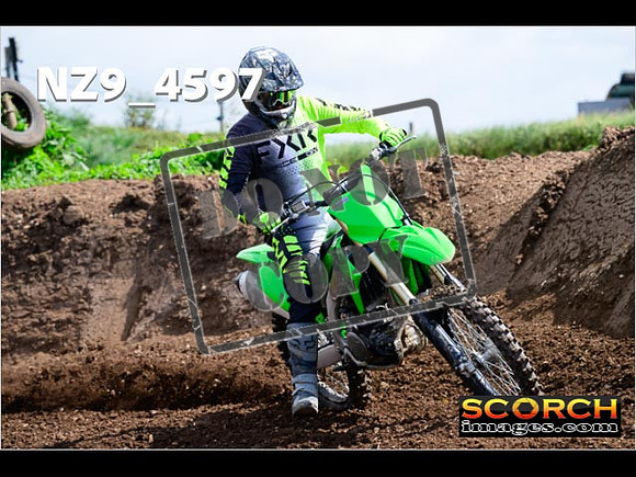 IntersGreen-039