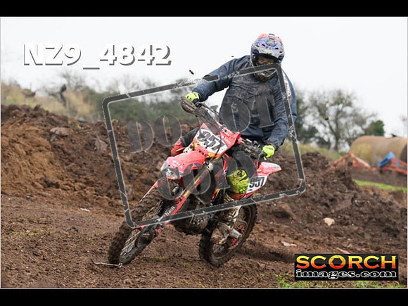 Experts-318