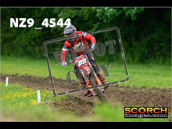 Experts-261