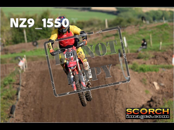 Experts-233