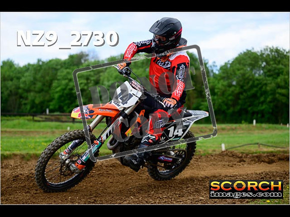 Novice-319