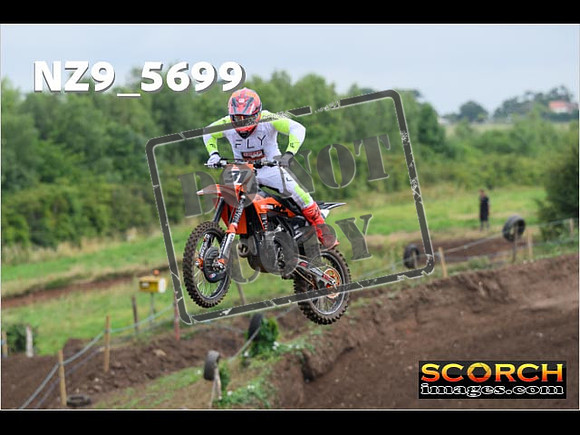 Experts-099