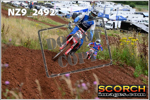 MX2-029