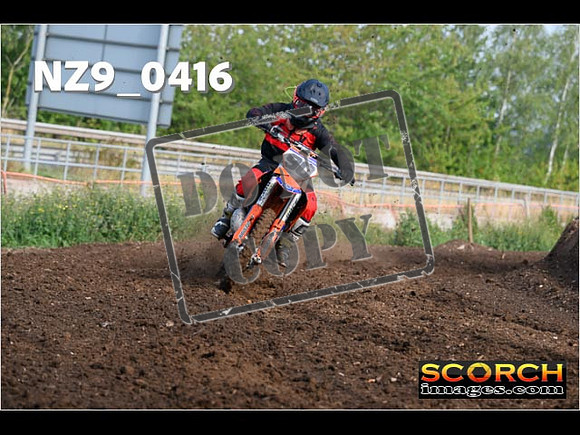 Experts-013