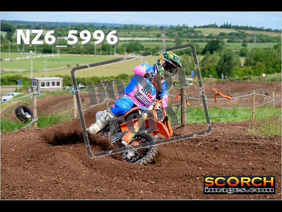 Experts-040