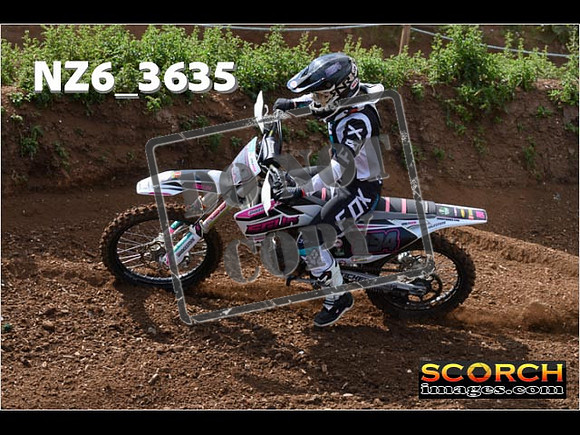 Experts-061