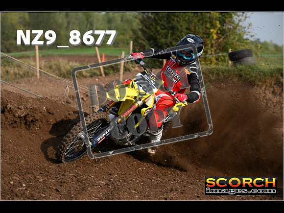 Experts-083
