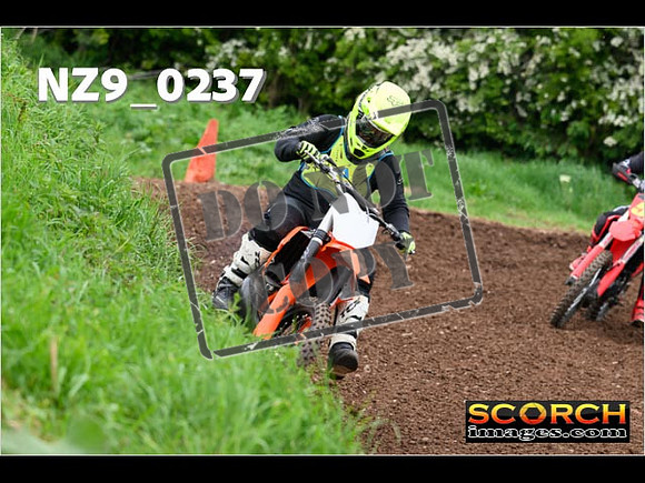 IntersGreen-187