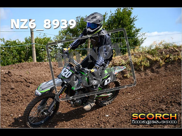 IntersGreen-098