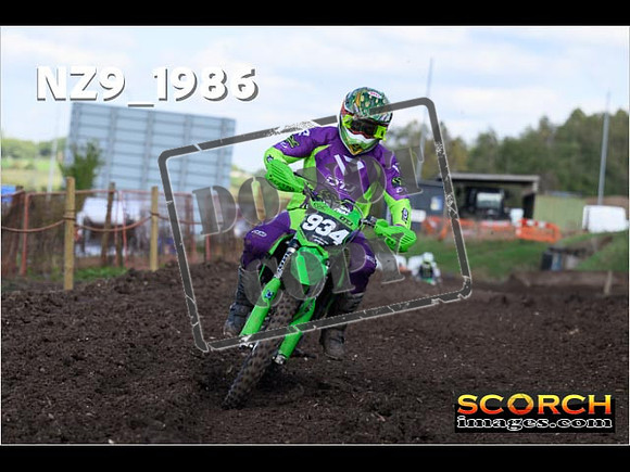 Experts-329
