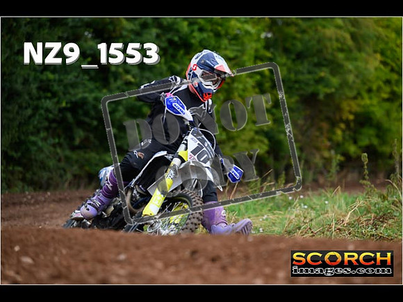 IntersGreen-119