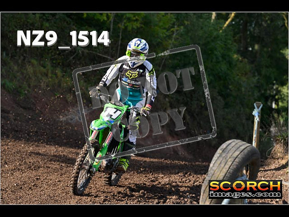 Experts-204