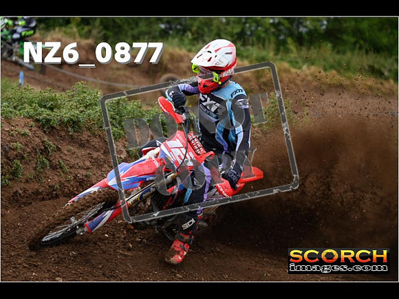 Experts-070