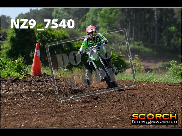 Inters Green Orange-066