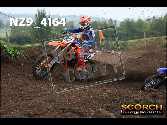 IntersGreenOrange-139