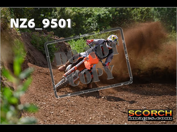 Experts-264