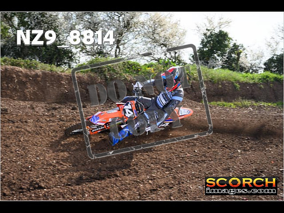 Experts-058