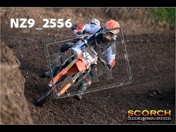 Experts-141