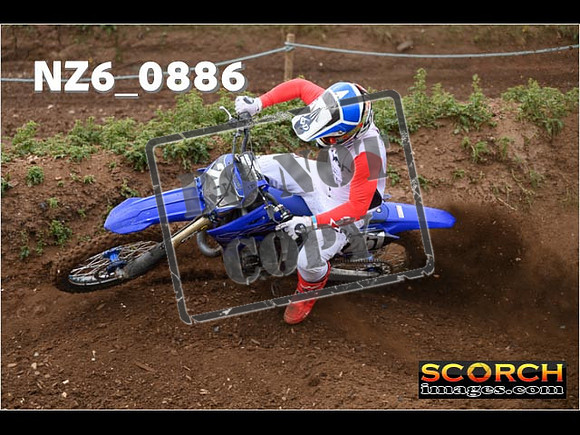 Experts-079