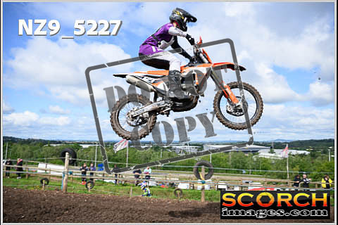 Experts-041