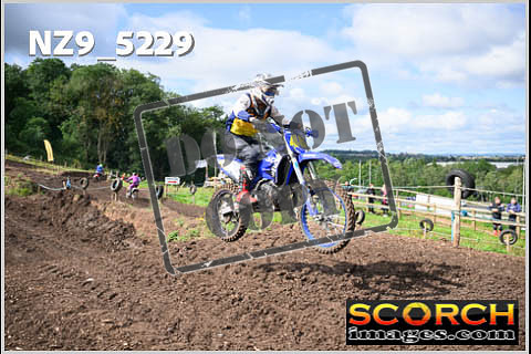 Experts-043