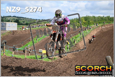 Experts-083
