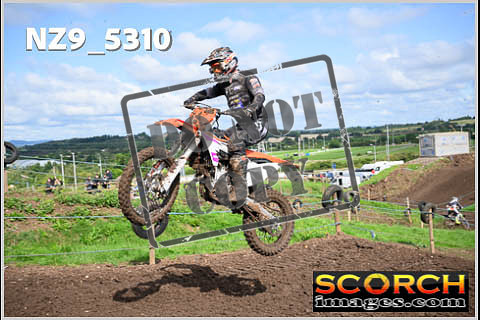 Experts-115