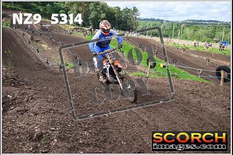 Experts-119
