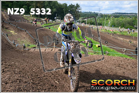 Experts-137