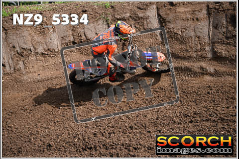Experts-139