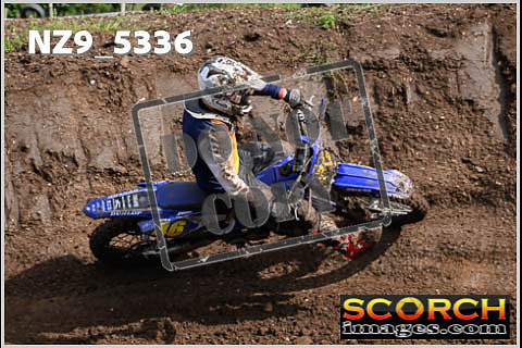 Experts-141